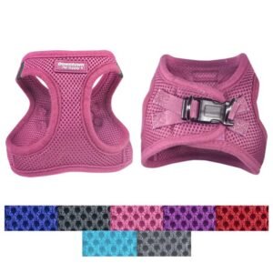 Home Downtown Pet Supply Best No Pull, Step in